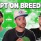 Do NOT Sleep on These Breeders – FTS Clips